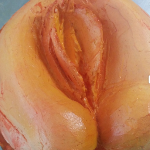 Tarta Erótica forma de Vagina